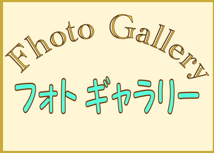 フォトギャラリー